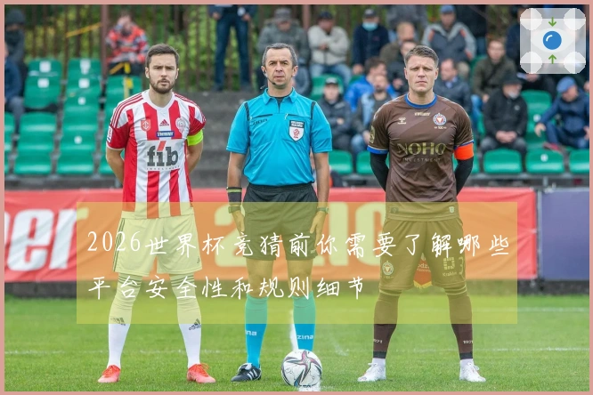 必赢体育资讯图片