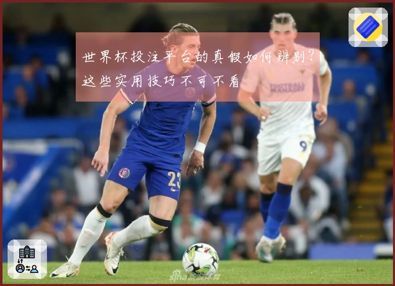 世界杯投注平台的真假如何辨别？这些实用技巧不可不看