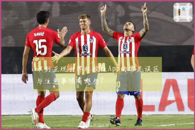 识别正规世界杯投注App的常见误区与注意事项有哪些？