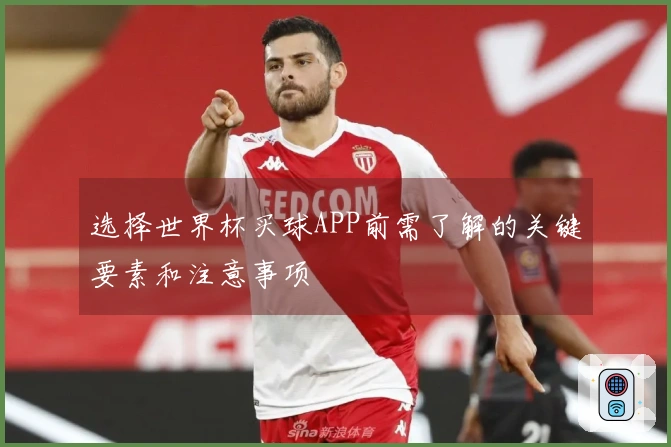 选择世界杯买球APP前需了解的关键要素和注意事项