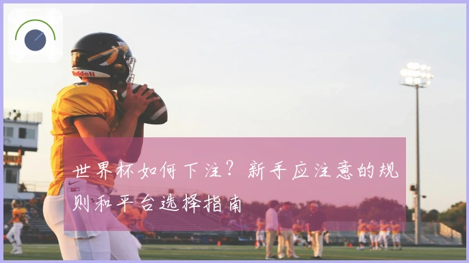 世界杯如何下注？新手应注意的规则和平台选择指南